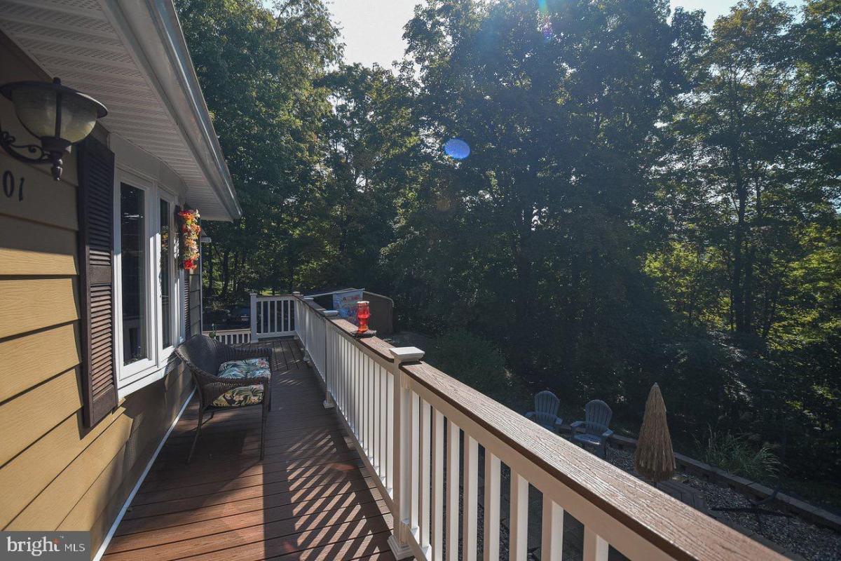 14601Mullaney 15