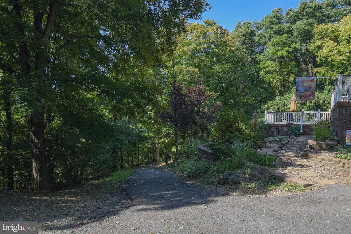 14601Mullaney 16