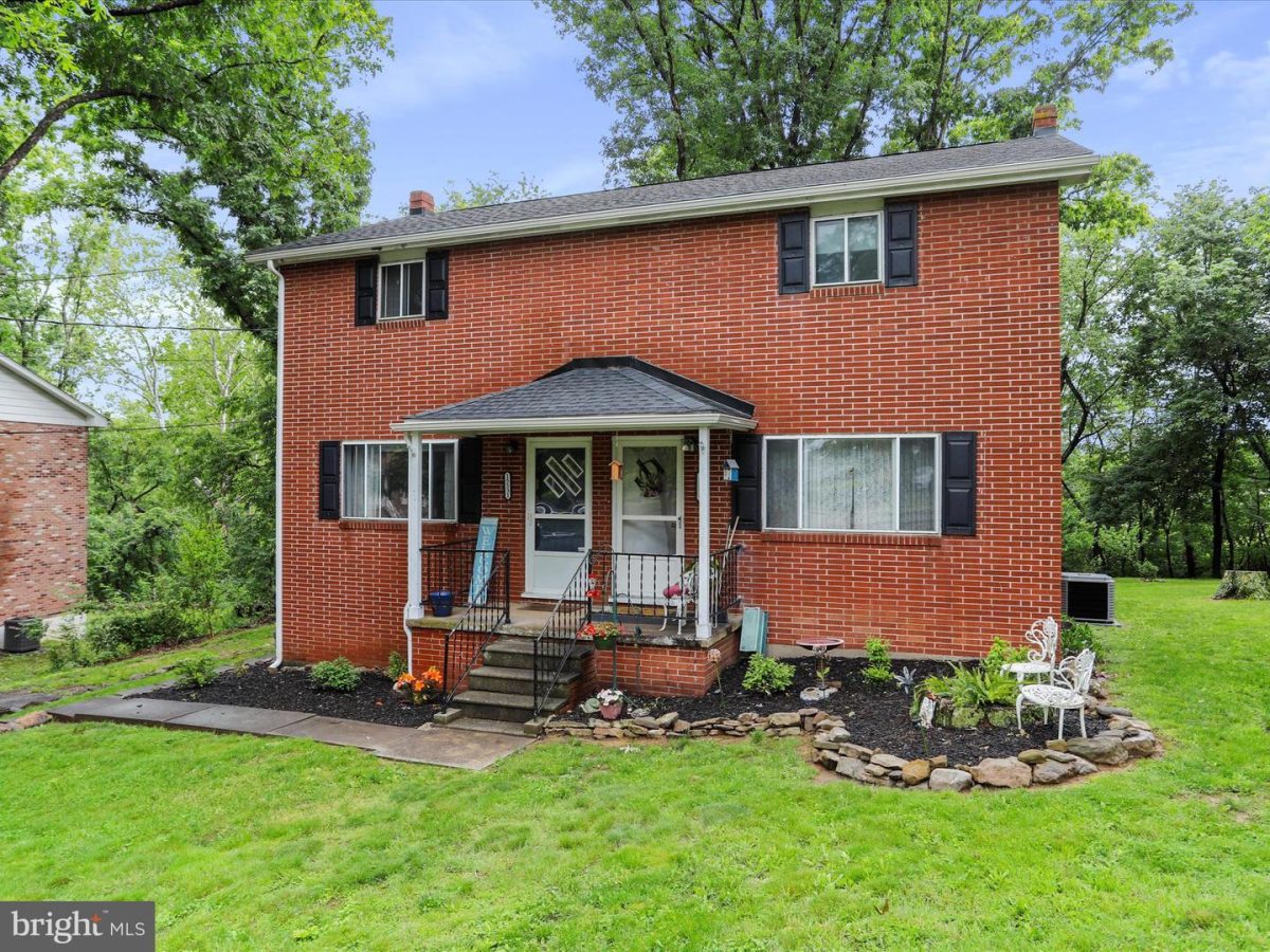 15529Shamrock 01