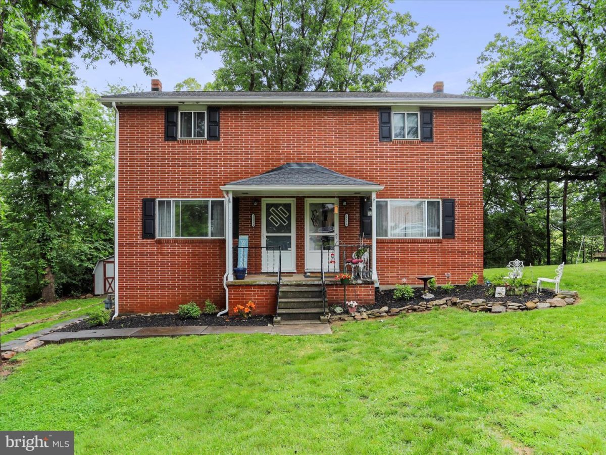15529Shamrock 02