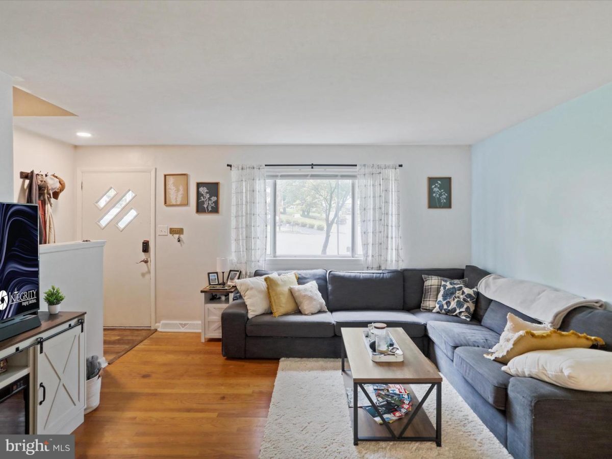 15529Shamrock 04