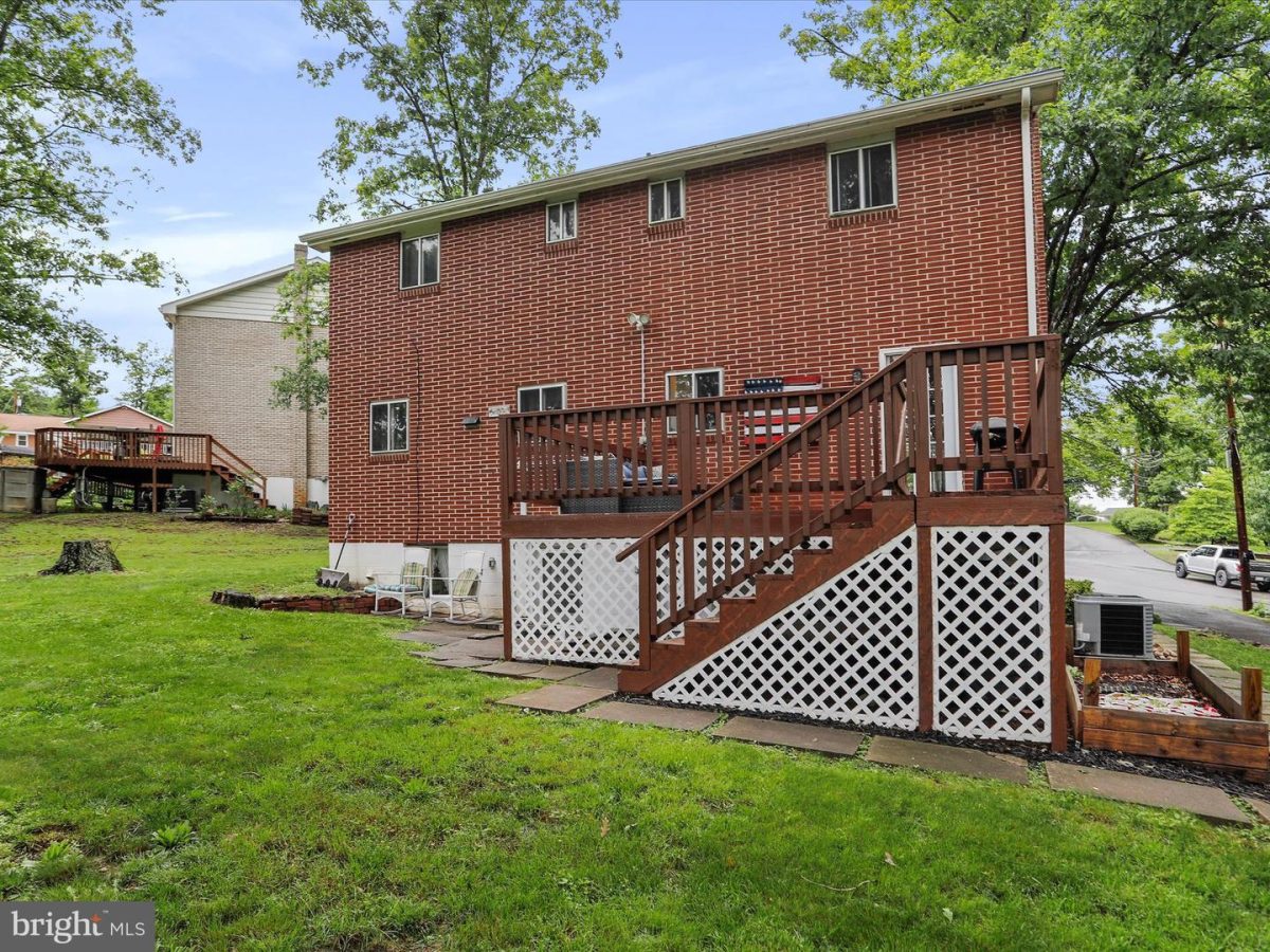 15529Shamrock 39