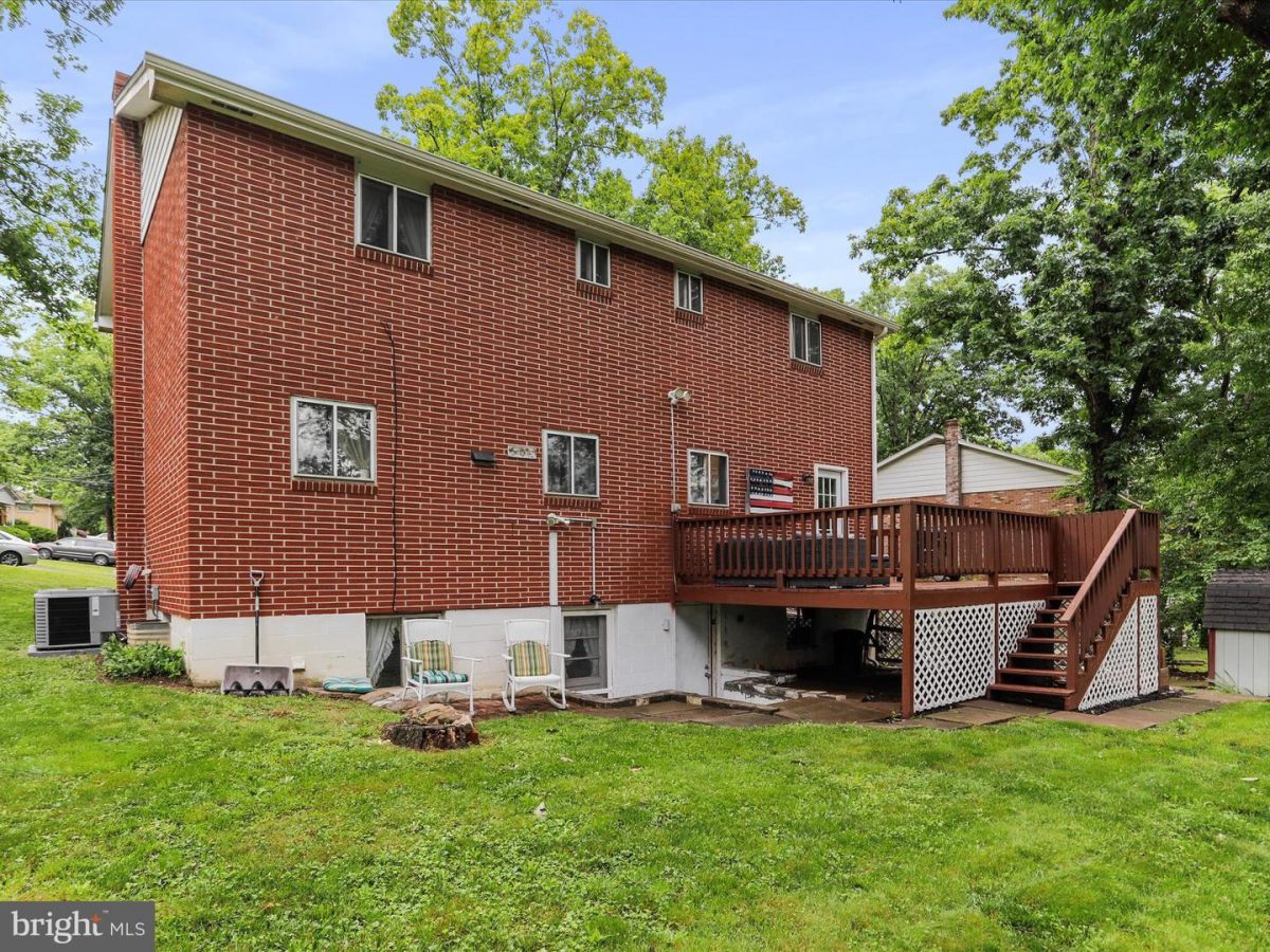 15529Shamrock 40