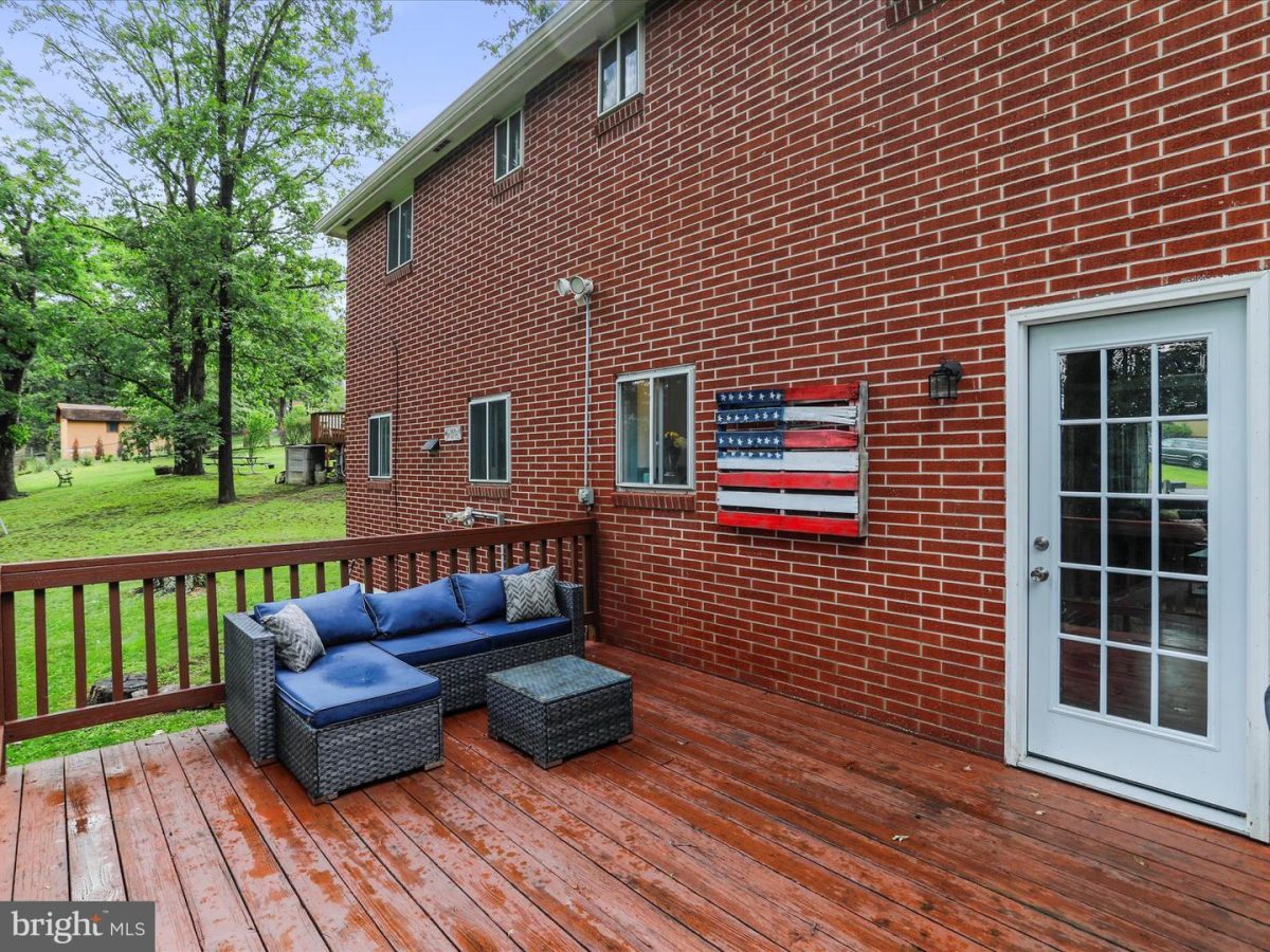 15529Shamrock 42