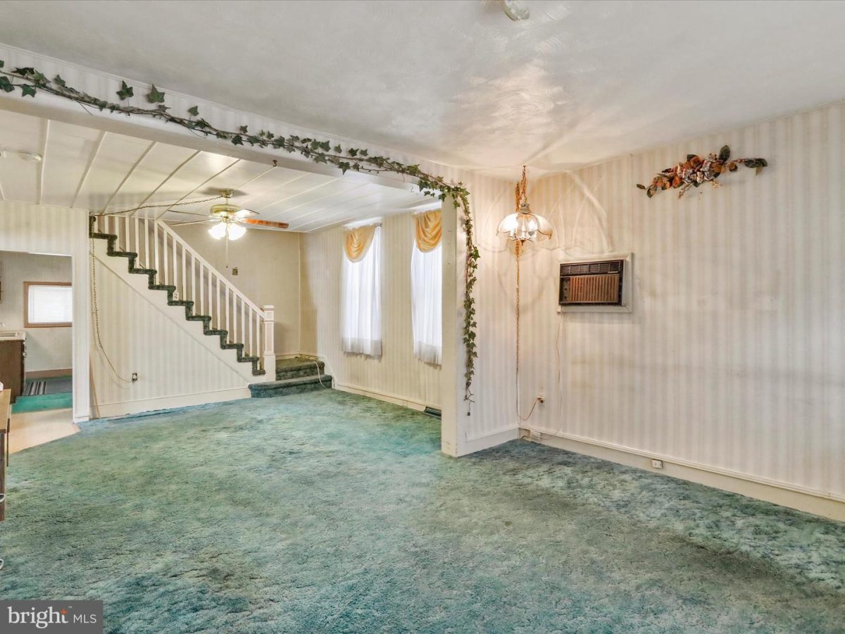 411Cedar 11