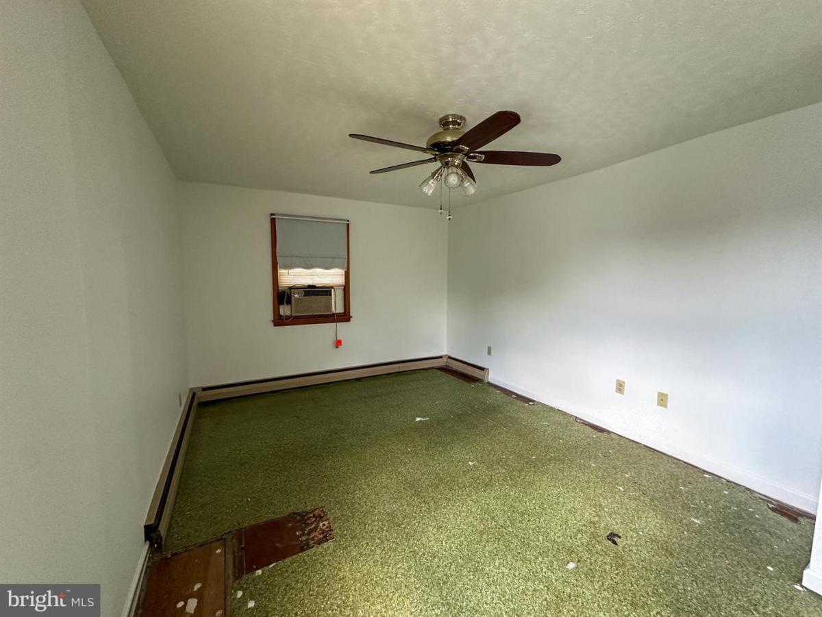 428Walnut 36
