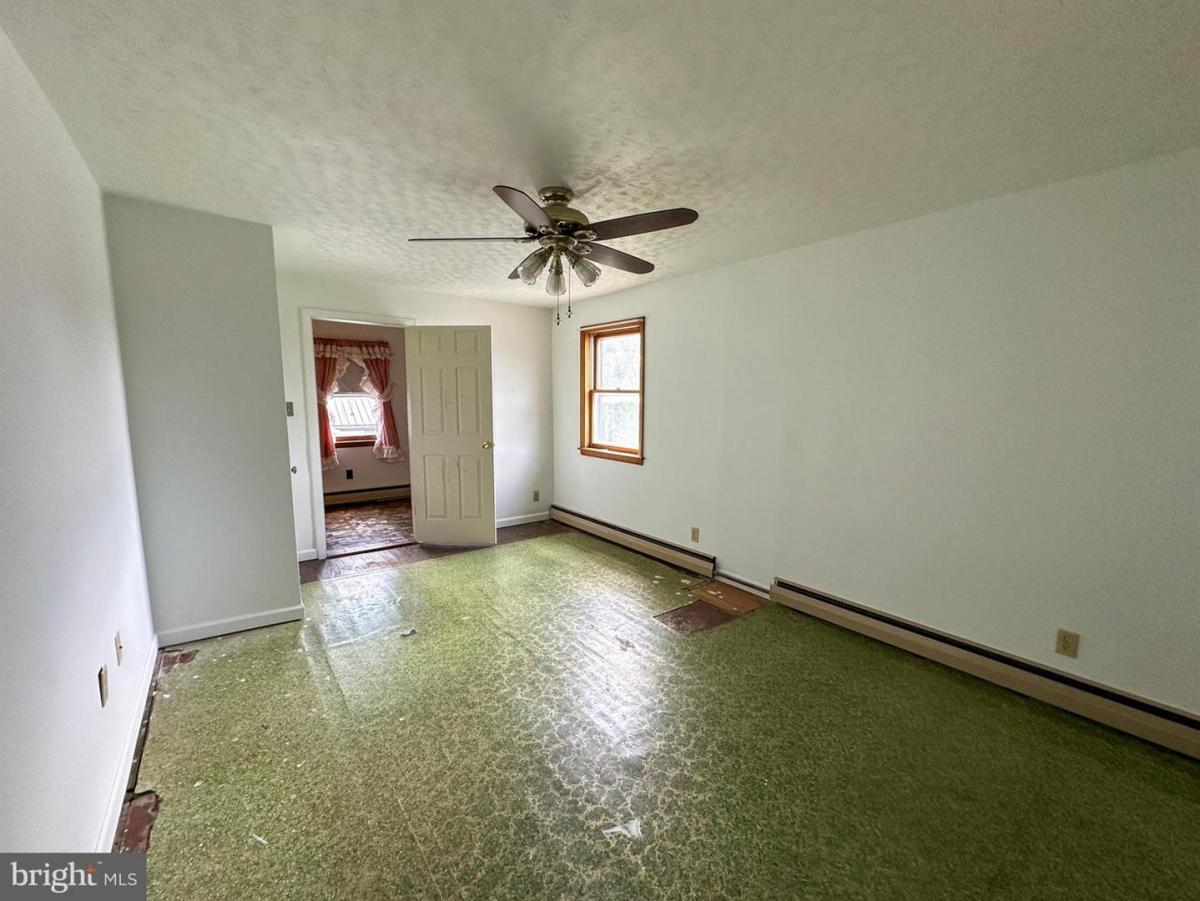 428Walnut 37