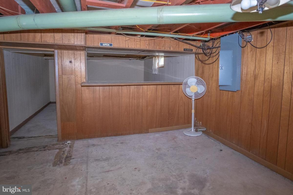 Cedarwood 37