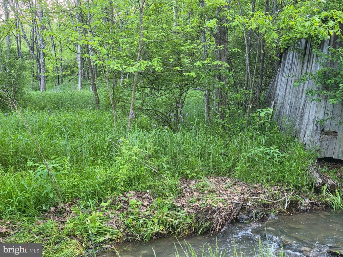 OldFurnace 01 (1)