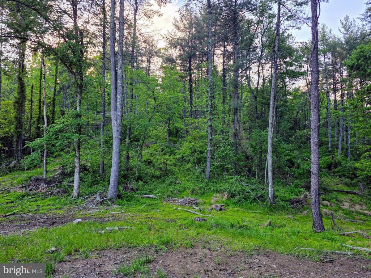 OldFurnace 06 (1)