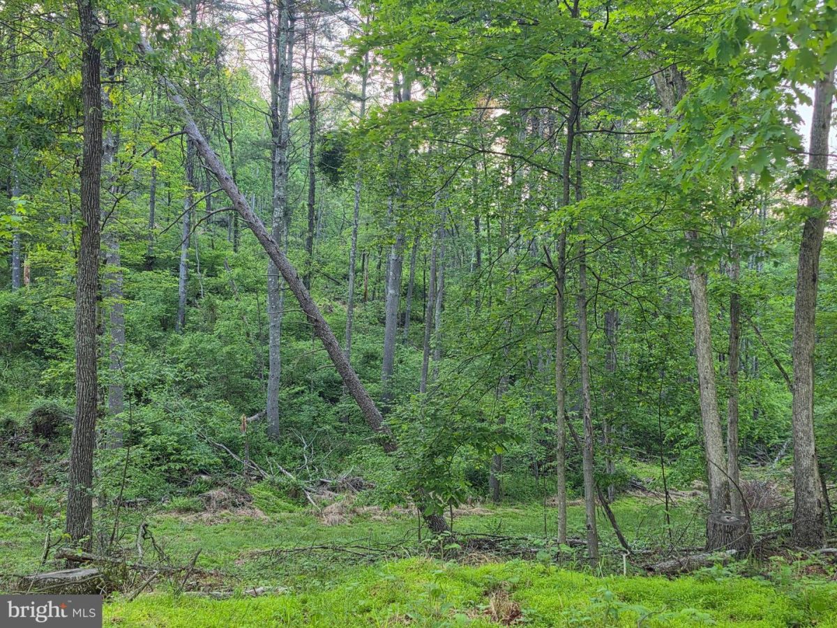 OldFurnace 08 (1)