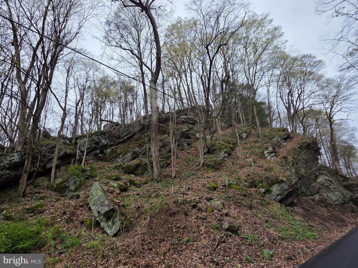 OldFurnace 25