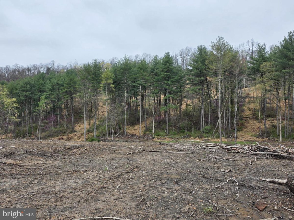 OldFurnace 27