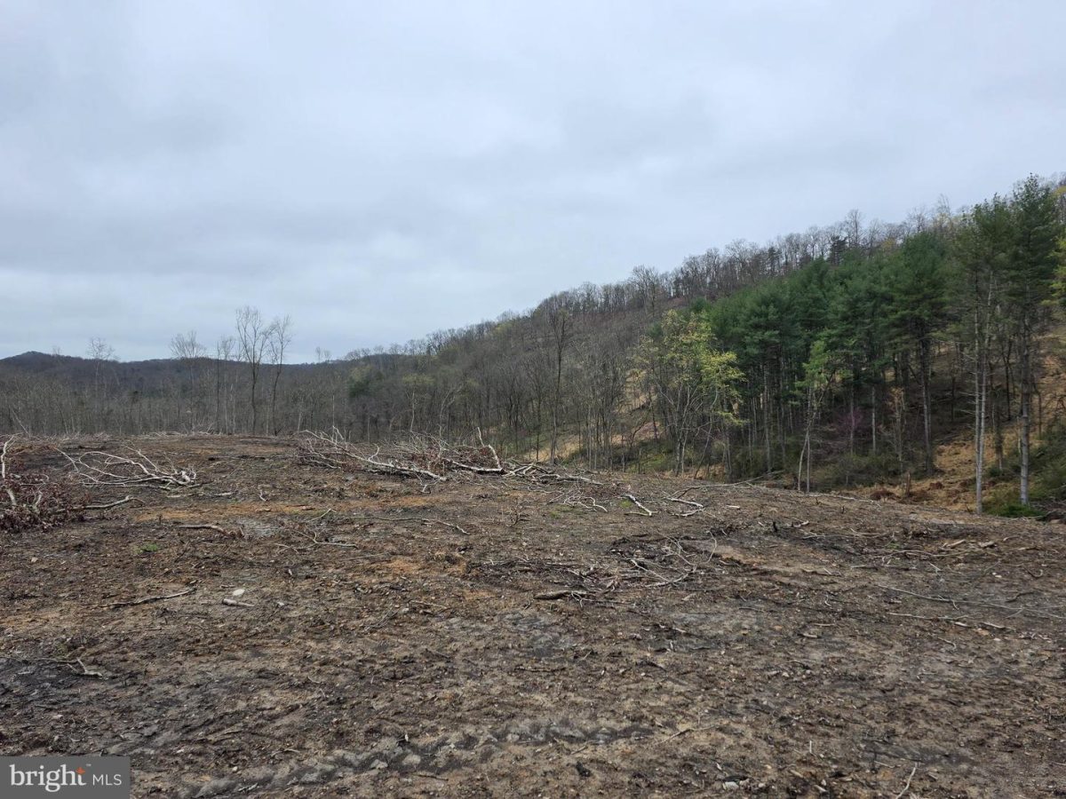 OldFurnace 29