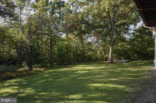 12006Amherst 41 (1)